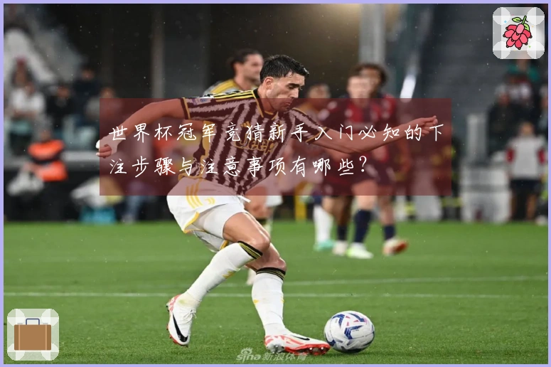 世界杯冠军竞猜新手入门必知的下注步骤与注意事项有哪些？