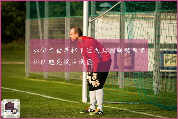 如何在世界杯下注网站判断赔率变化以避免投注误区