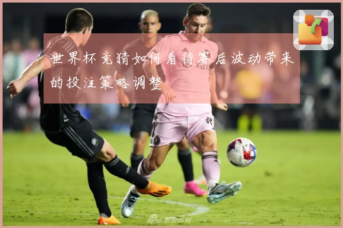 世界杯竞猜如何看待赛后波动带来的投注策略调整