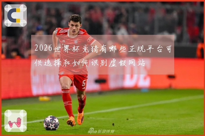 2026世界杯竞猜有哪些正规平台可供选择和如何识别虚假网站