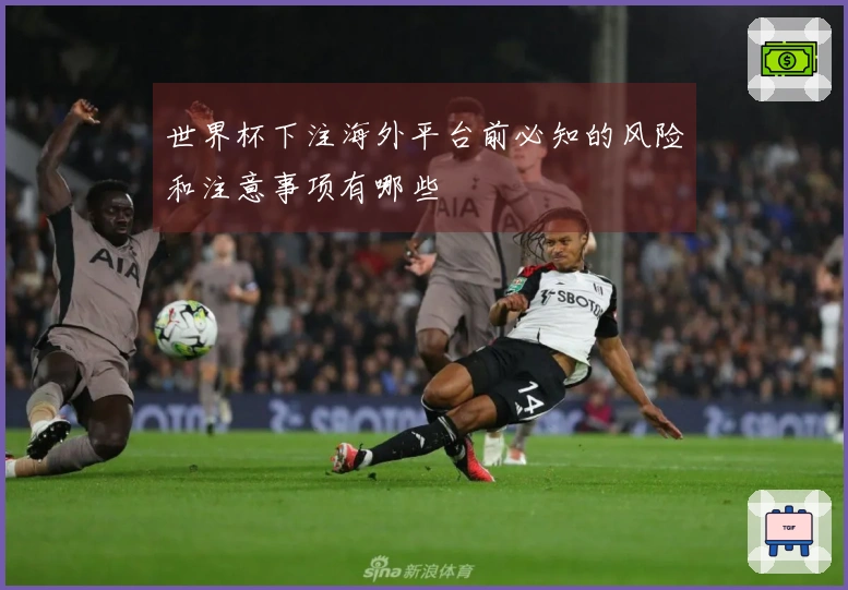 世界杯下注海外平台前必知的风险和注意事项有哪些