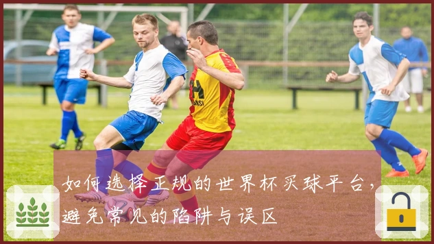 如何选择正规的世界杯买球平台，避免常见的陷阱与误区