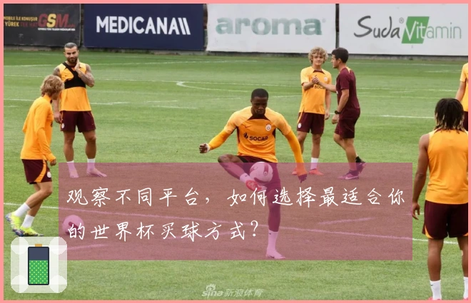 观察不同平台，如何选择最适合你的世界杯买球方式？