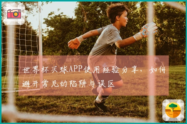 世界杯买球APP使用经验分享，如何避开常见的陷阱与误区