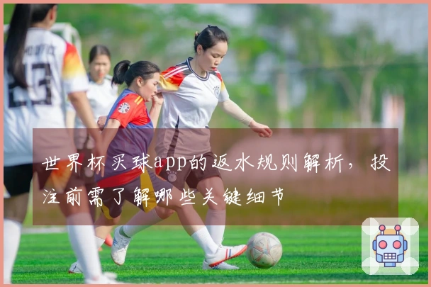 世界杯买球app的返水规则解析，投注前需了解哪些关键细节