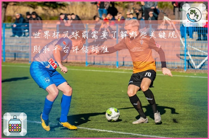 世界杯买球前需要了解哪些关键规则和平台评估标准