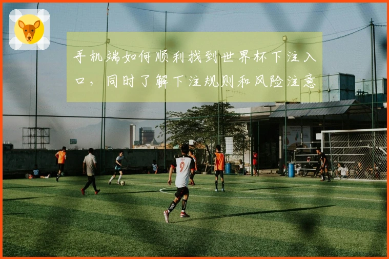 手机端如何顺利找到世界杯下注入口，同时了解下注规则和风险注意事项