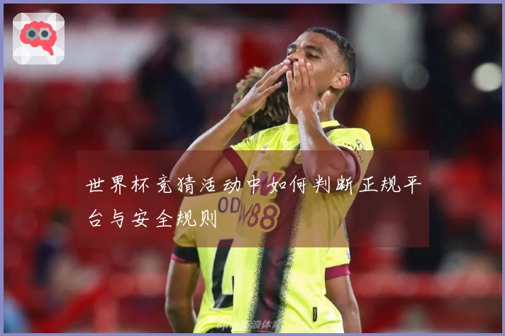 世界杯竞猜活动中如何判断正规平台与安全规则