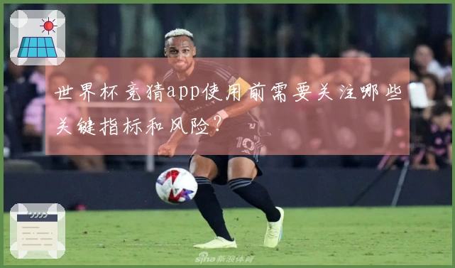 世界杯竞猜app使用前需要关注哪些关键指标和风险？