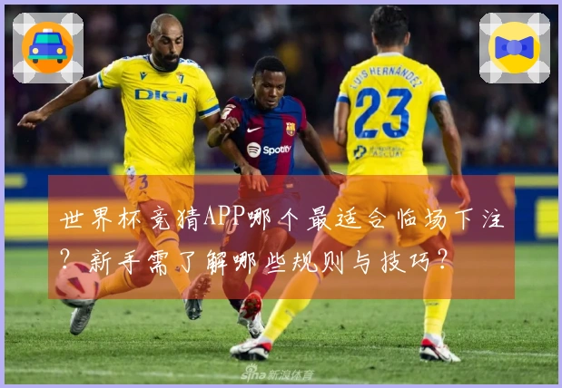 世界杯竞猜APP哪个最适合临场下注？新手需了解哪些规则与技巧？