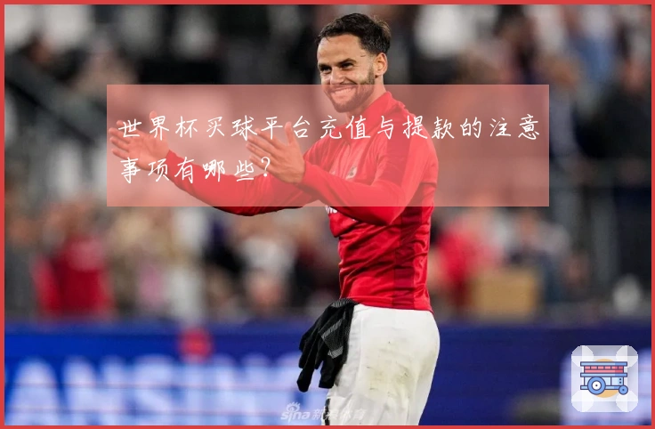 世界杯买球平台充值与提款的注意事项有哪些？