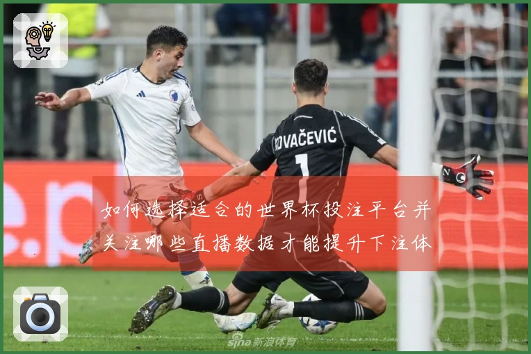 如何选择适合的世界杯投注平台并关注哪些直播数据才能提升下注体验
