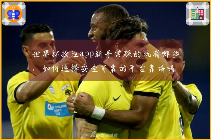 世界杯投注app新手常踩的坑有哪些，如何选择安全可靠的平台靠谱吗