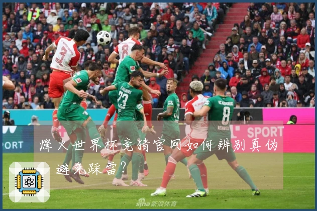 烽火世界杯竞猜官网如何辨别真伪，避免踩雷？