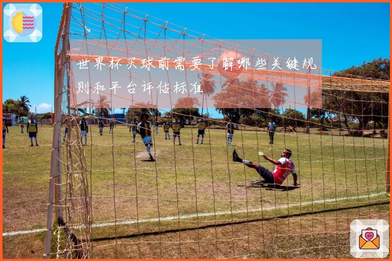世界杯买球前需要了解哪些关键规则和平台评估标准
