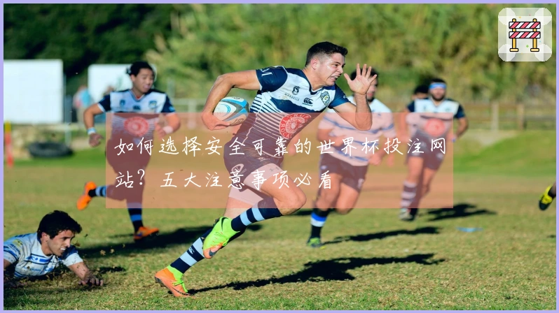 如何选择安全可靠的世界杯投注网站？五大注意事项必看