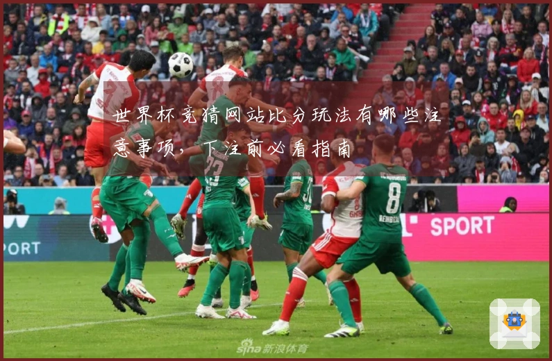 世界杯竞猜网站比分玩法有哪些注意事项，下注前必看指南