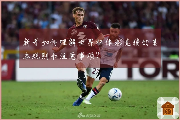 新手如何理解世界杯体彩竞猜的基本规则和注意事项？