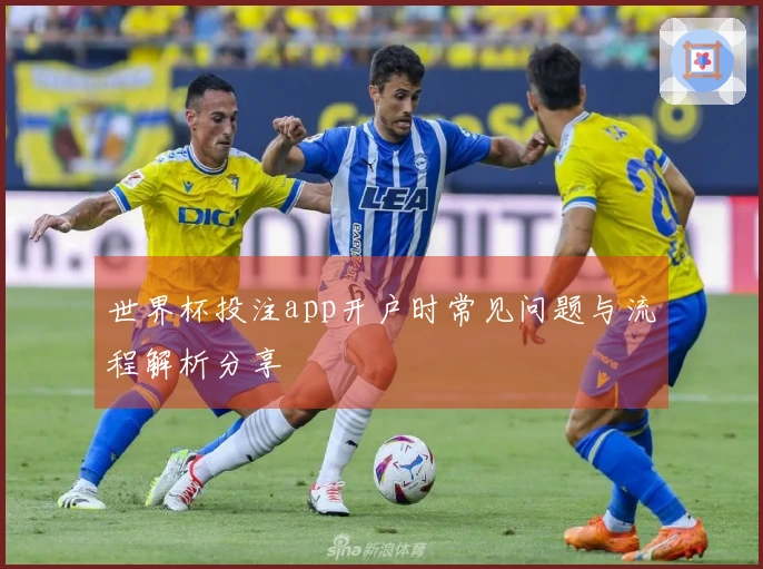 世界杯投注app开户时常见问题与流程解析分享
