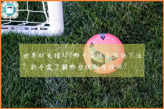 世界杯竞猜APP哪个最适合临场下注？新手需了解哪些规则与技巧？