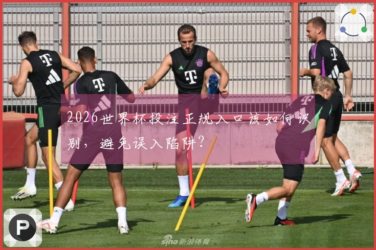 2026世界杯投注正规入口该如何识别，避免误入陷阱？