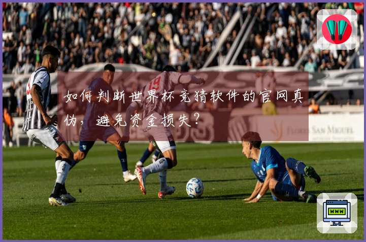 如何判断世界杯竞猜软件的官网真伪，避免资金损失？