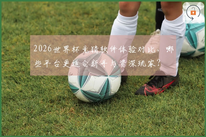 2026世界杯竞猜软件体验对比，哪些平台更适合新手与资深玩家？