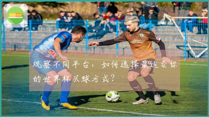观察不同平台，如何选择最适合你的世界杯买球方式？