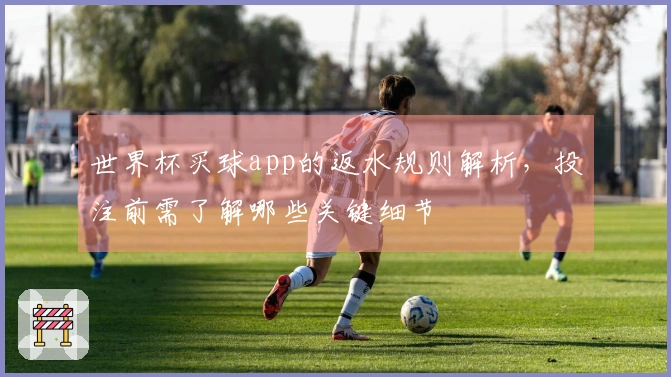 世界杯买球app的返水规则解析，投注前需了解哪些关键细节